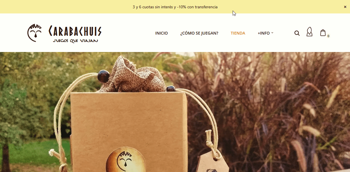Screen displaying a custom WordPress Top Bar with a free shipping offer, seamlessly integrated into the site design.